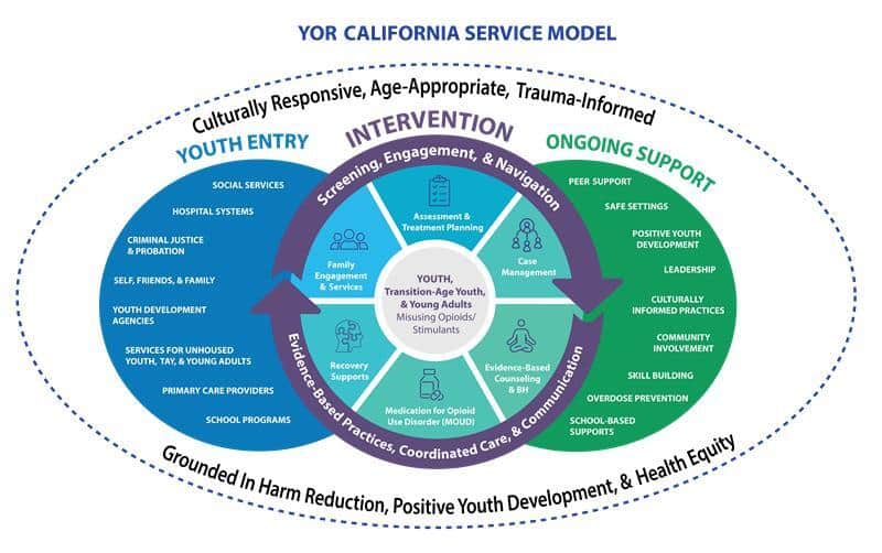 graphic of the California Youth Opioid Response service model